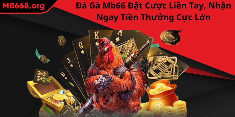 đá gà MB66