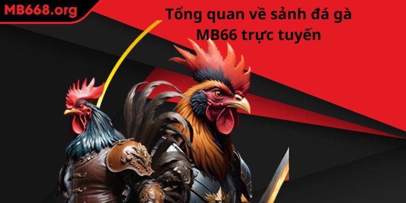 Tổng quan về sảnh đá gà MB66 trực tuyến